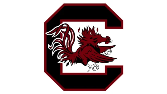 South Carolina Gamecocks Garnet, Black and White color codes