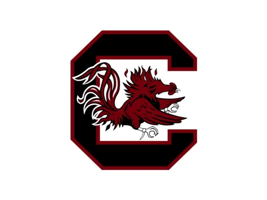 South Carolina Gamecocks Garnet, Black and White color codes