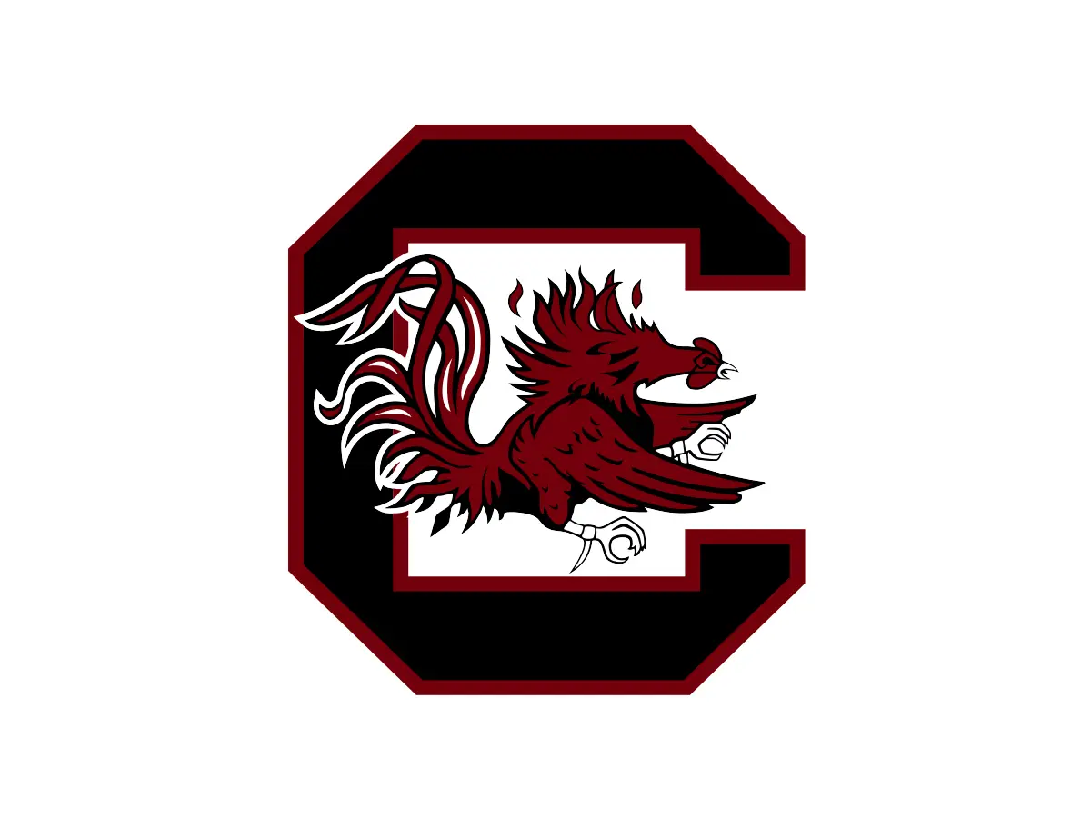 South Carolina Gamecocks Garnet, Black and White color codes