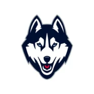 UConn Huskies navy blue, white and grey official color codes
