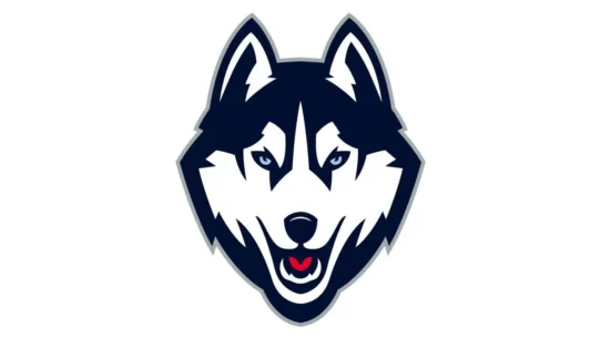 UConn Huskies navy blue, white and grey official color codes