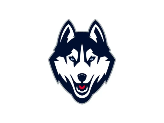 UConn Huskies navy blue, white and grey official color codes