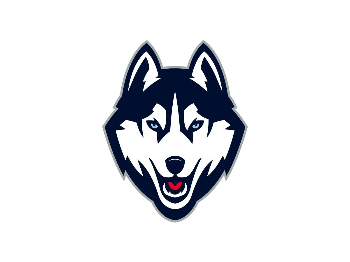 UConn Huskies navy blue, white and grey official color codes