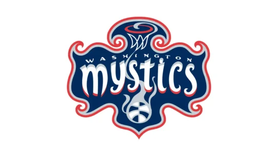 Washington Mystics color codes in navy, red and silver
