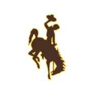 Wyoming Cowboys official brown and gold color codes with HEX, RGB, CMYK and Pantone values