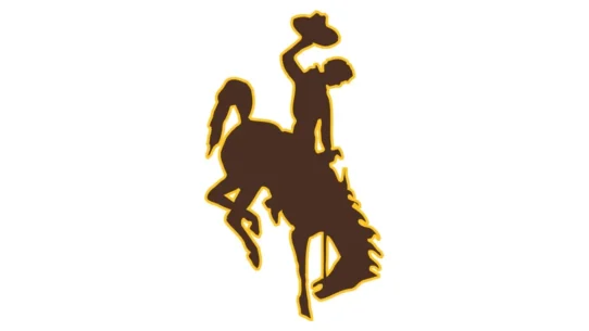 Wyoming Cowboys official brown and gold color codes with HEX, RGB, CMYK and Pantone values