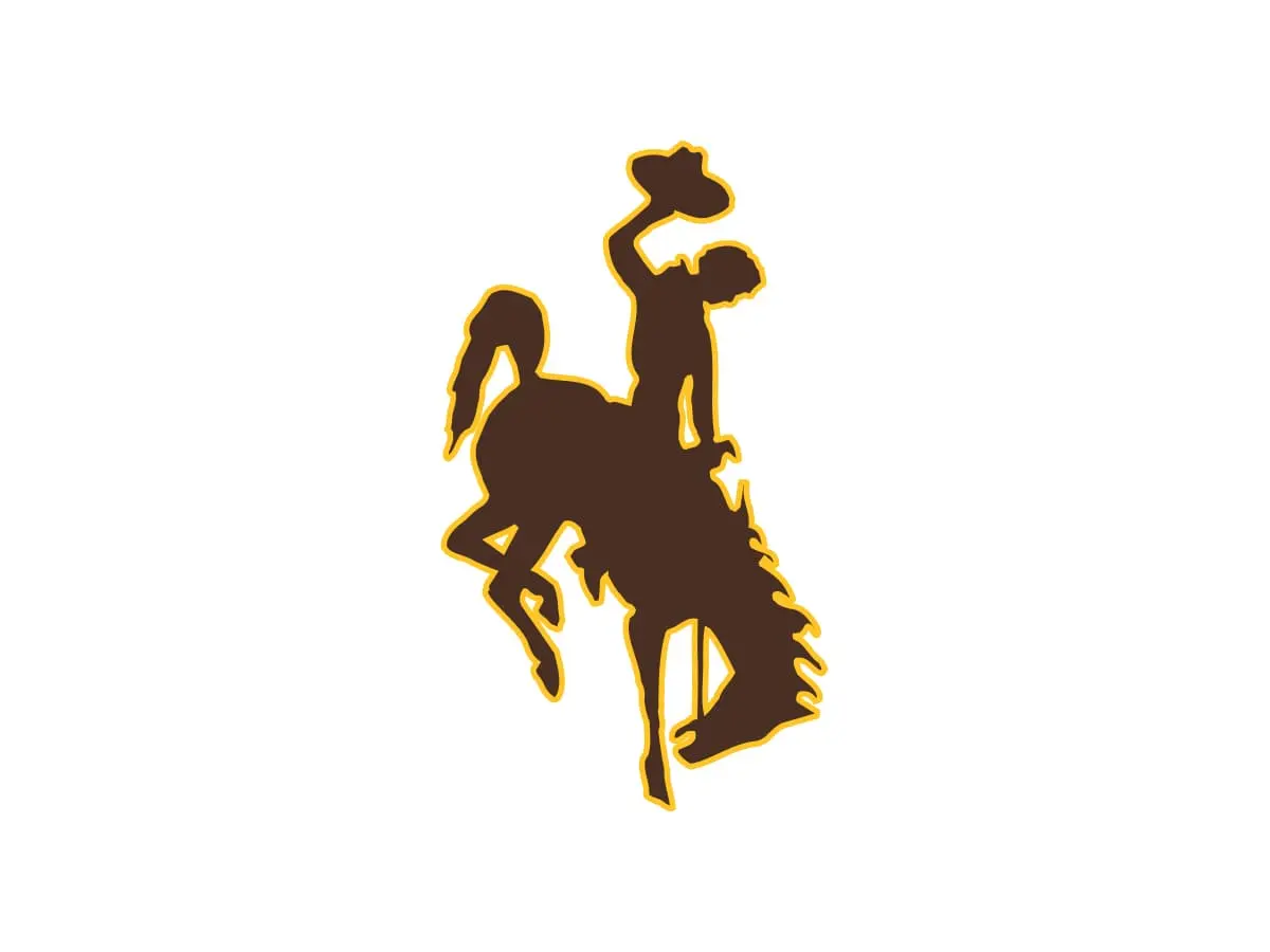 Wyoming Cowboys official brown and gold color codes with HEX, RGB, CMYK and Pantone values